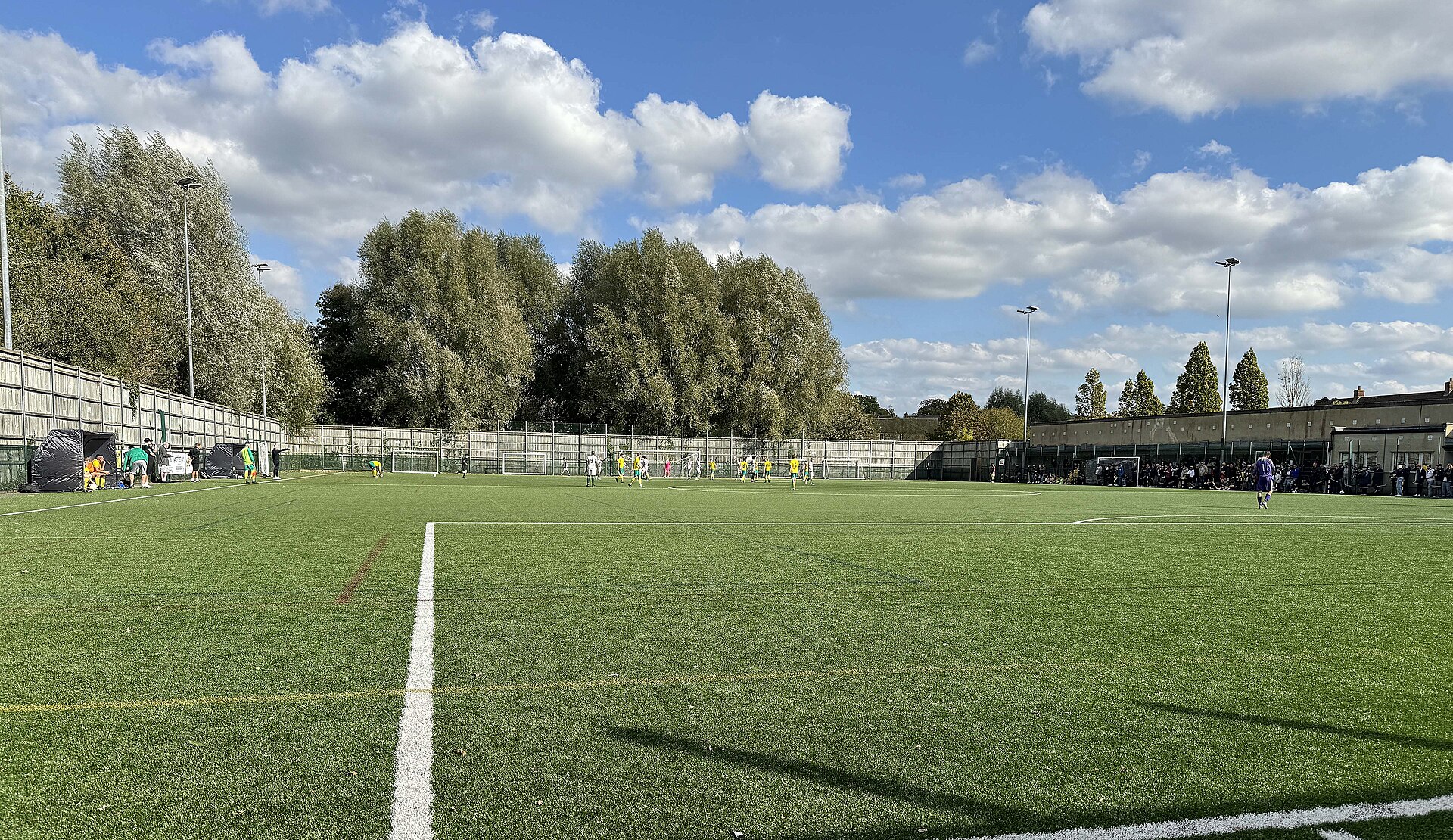 Artificial-turf sports pitch viewed from beside the field