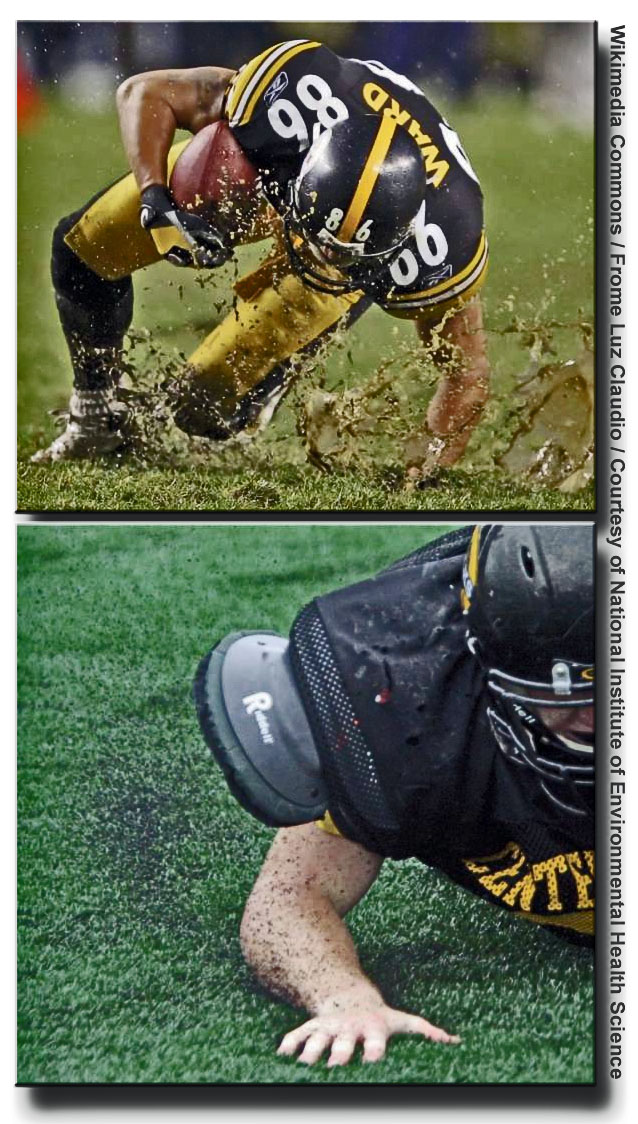 Close-up of artificial-turf fibres with dark rubber performance infill